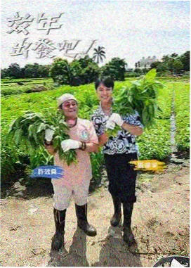 蜂鸟影院在线观看 明星大侦探